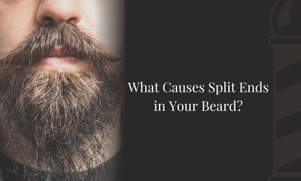 What Causes Split Ends in Your Beard? (Solved) – Kingsmen Premium