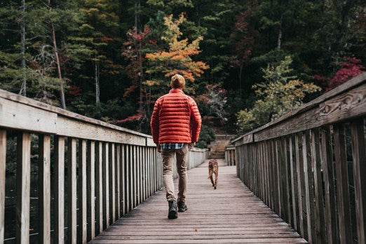 Man Walking a Dog