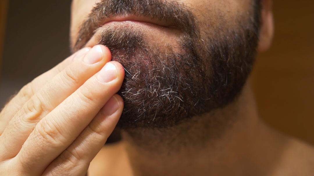 Beard Itch - Why Does a Beard Itch and How to Stop it - Kingsmen Premium