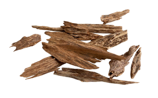 Photo of an agar wood 