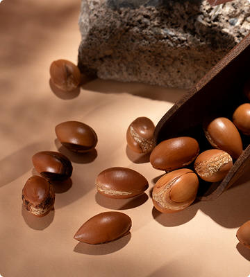 Brown acorns scattered on a warm beige surface with a dark wooden scoop tipped with more acorns and a rough stone in the background.