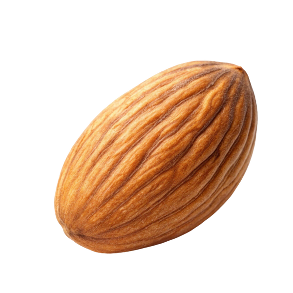 Sweet Almond Oil